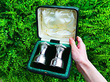 Sterling Silver Peppers Boxed