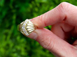 yellow gold ring