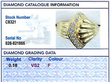 IDGL grading report for fan shaped ring