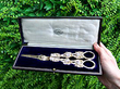 Boxed Grape Scissors Antique