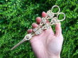 Boxed Grape Scissors Antique