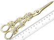 Boxed Grape Scissors Antique