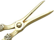 Boxed Grape Scissors Antique