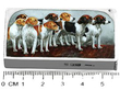 Dog Vesta Case Size