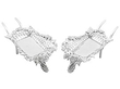 Silver Wheelbarrow Dishes