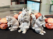 Sterling Silver Squirrel Condiment Set