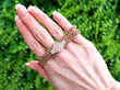 Bracelet in Gold Outside