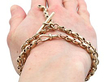 Albert Chain Necklace Gold Wearing