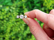 Claw Set Trilogy Ring in Yellow Gold