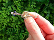 Shell Design Bar Brooch with Gemstones Outside