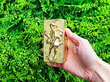 19th Century Snuff Box outside
