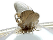 Edwardian Inkstand Silver Gilt detail 