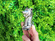 Rare Silver Peppers Dragon
