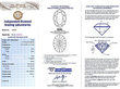 Diamond Cornucopia Brooch Grading Certificate