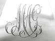 Victorian Silver Tea Caddy detail