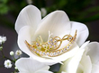 Crescent Floral Brooch with Diamonds for Sale