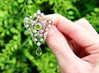 Antique Peridot Pendant Brooch outside