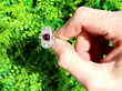 Edwardian Ruby and Diamond Dress Ring