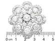 Victorian Diamond Brooch ruler 