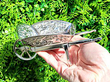 Silver Wheelbarrow Dishes