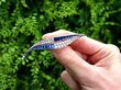 Sapphire and Diamond Leaf Brooch outside