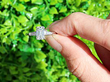1.12 Carat Emerald Cut Diamond Ring