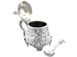 Sterling Silver Cruet open