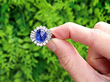 White Gold Oval Sapphire and Diamond Cluster Ring