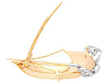 Gold Boat Brooch Vintage open
