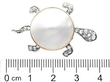 Antique Pearl Turtle Brooch with Diamonds size