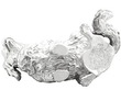 Silver Dog Sugar Box for Sale