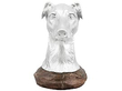 Antique Silver and Copper Dog Head Trophy