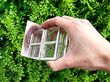 Antique Silver Stamp Box