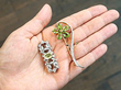 gemstone brooches