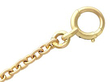 French Early 20th Century 18ct Gold Longuard Chain close up