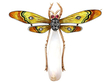 Pearl and Enamel Dragonfly Brooch in Gold