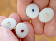 Antique Agate and Gemstone Cufflinks