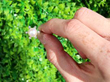 Pearl Ring Outside