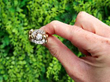 Victorian Gold Ring Outside