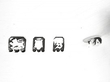 Tortoiseshell Box Hallmarks 
