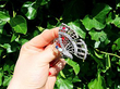 Diamond Butterfly Brooch with Gemstones