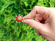 Antique Coral Brooch