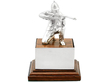 Silver Soldier Trophy