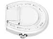silver horseshoe vesta case