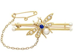 Insect Brooch