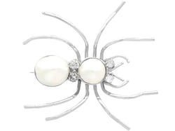 Antique Spider Brooch