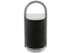 Antique Nutmeg Grater in Silver