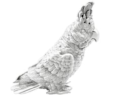Novelty Silver Cockatoo Pepperette 