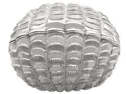 Victorian Silver Nutmeg Grater for Sale