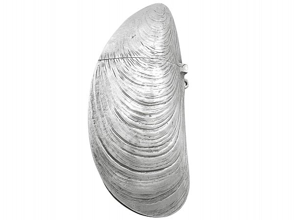 Silver Vesta Case